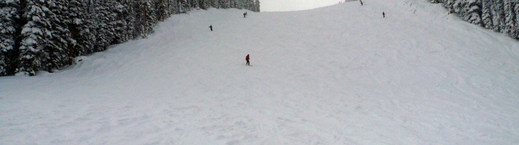 Anfänger sollten sich auf das Teilgebiet "The Front Side" beschränken - Die "Back Bowls" sind viel zu anspruchsvoll!