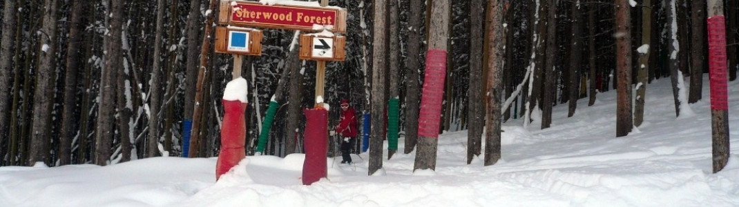 Eine von 16 Kid´s Adventure Zones: Sherwood Forest zwischen den Abfahrten "Ledges" und "Columbine"!