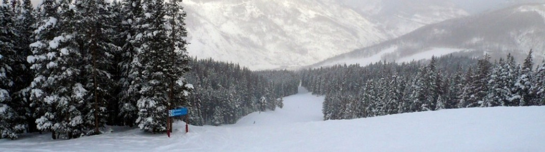 Mittelschwere Abfahrten im Teilgebiet "The Front Side"!