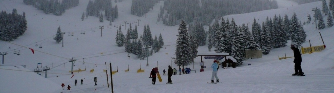 Viele Pisten laufen in Mid Vail zusammen!