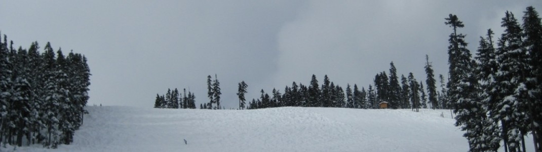 Green Acres Piste zwischen Harmony und Emerald Sessellift!