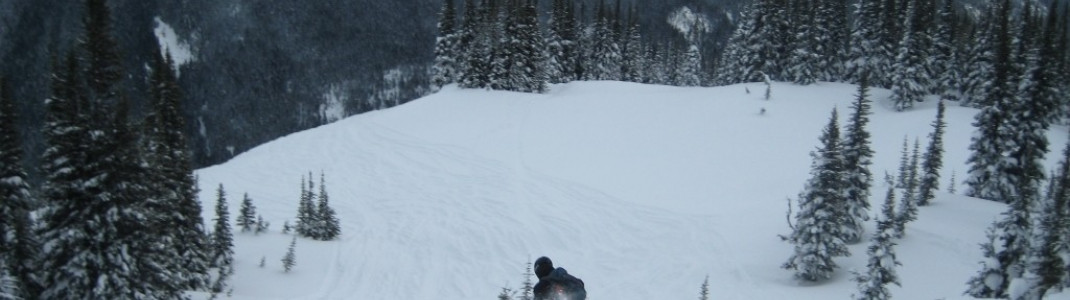Ratfink Double Black Diamond Piste in Richtung des Harmony Sesselliftes!