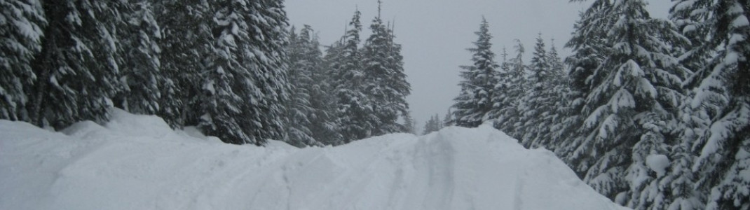 Big Timber Skiroute in Whistler!