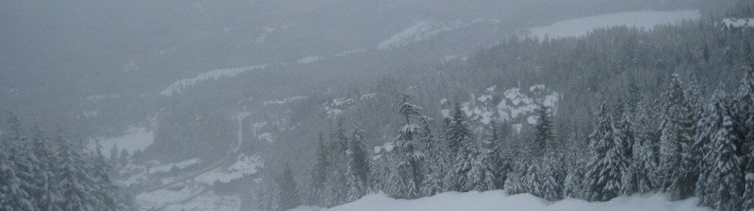 Kadenwood Trail bei der Creekside Gondola!