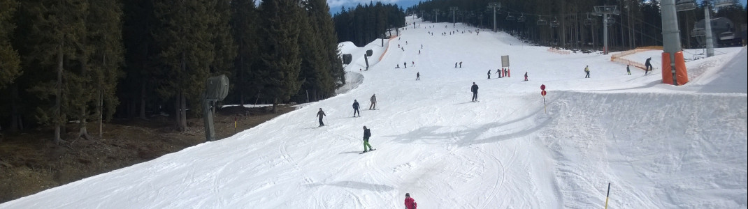 Blick auf die rote Piste Nr. 38 am Fussalm-X-Press: Der Wechsel zwischen den einzelnen Teilgebieten ist für Anfänger nicht ganz leicht!