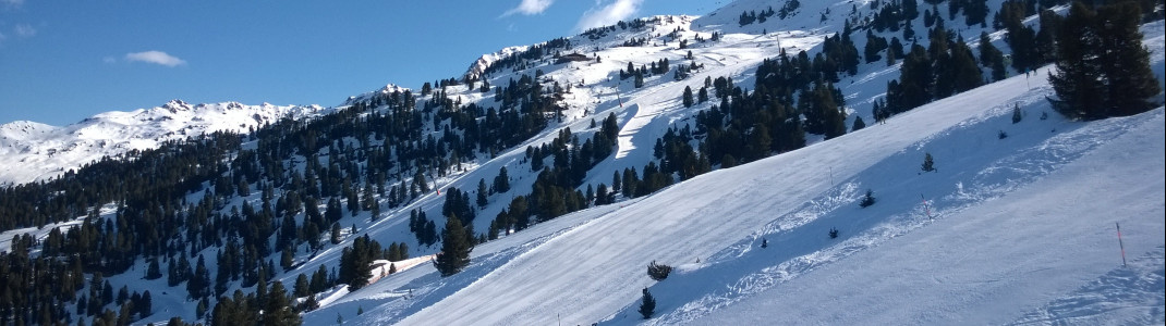 Blick auf die Pisten Nr. 13 und 14 oberhalb der Rosenalm