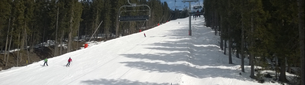 Beschneiungsanlagen in kürzesten Abständen: Hier an der Piste Nr. 38 am Fussalm-X-Press.