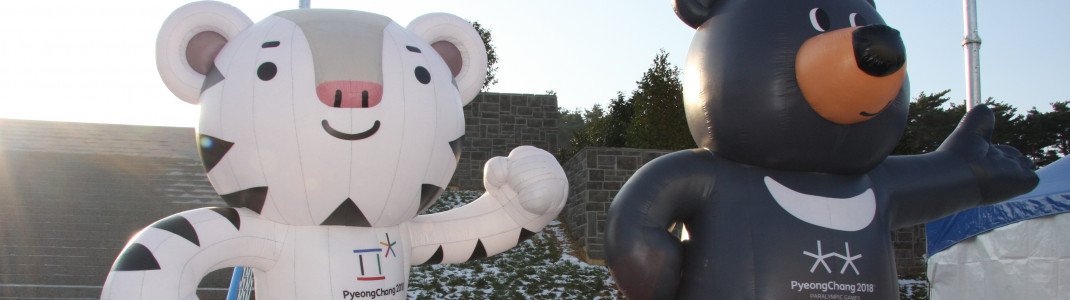 Guess who's already smiling down from huge billboards: The white tiger Soohorang and the black bear Bandabi are the Winter Olympics' mascots.