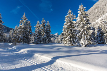 130 vielfältige Loipenkilometer führen durch den unberührten Winterwald, über Wiesen und Felder.