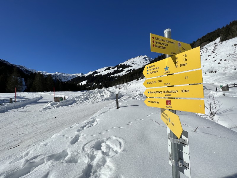 Schöne Winterwanderwege gibt es z.B. im Talschluss Hinterglemm.