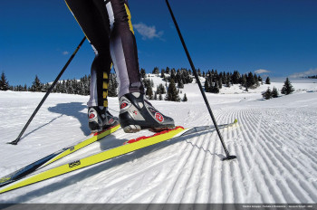 The tracks in Val di Fiemme are known for their diversity.
