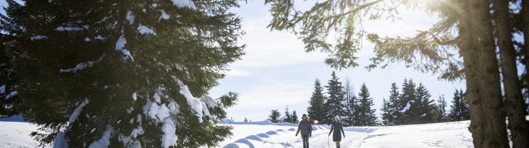 Das Meraner Land ist ein wahres Winterwunderland - einfach Entschleunigen und die Natur genießen.