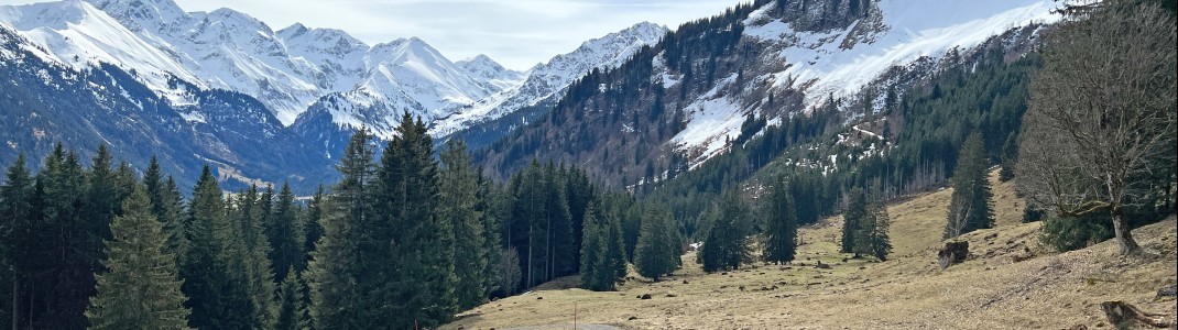 Viele Wege sind in der Übergangszeit bereits schneefrei.