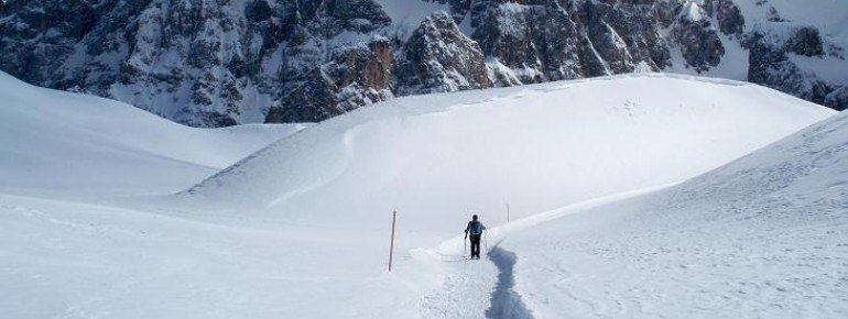 Guided Snowshoeing on the italian Alps