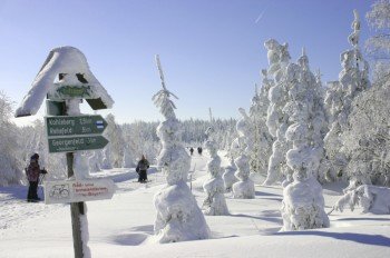 The Ore Mountains