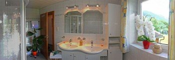 a shower with double sink