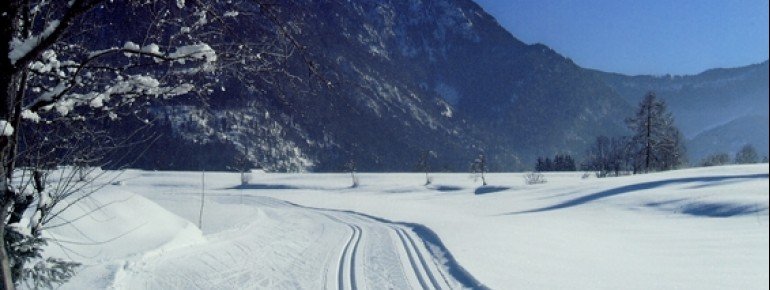 Cross-country skiing