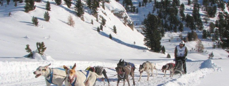 Dog sled race in Lü