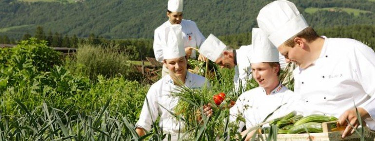 eigener Kräuter und Gemüse Garten