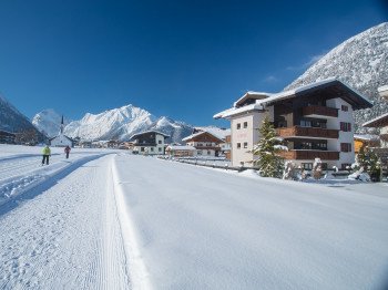 Außenaufnahme Ferienwohnungen Alpenherz