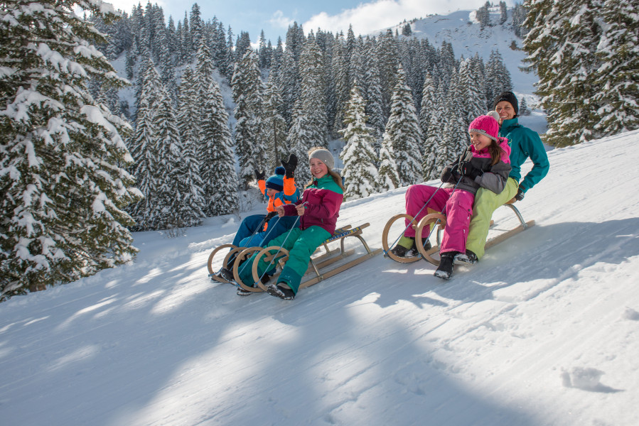 Rodelbahn in der Nähe des Hotels