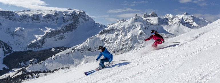 Skispass in der Silvretta Montaofon