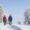 Winterparadies Montafon