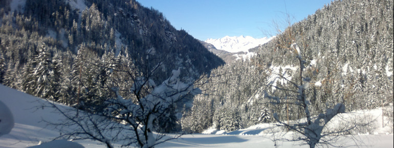 Blick auf die Parseiergruppe