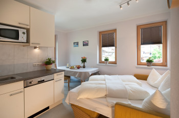 Wohnküche mit ausziehbarer Hotelschlafcouch in Apartment Typ A und B