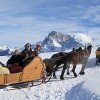 Romantische Schlittenfahrt Romantic sledge ride Alpe Di Siusi - Seiser Alm