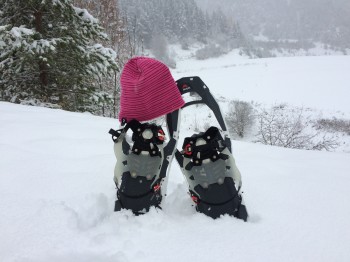 Wie wär's mit einer Schneeschuh-Wanderung?