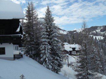 Ausblick vom Appartement Sonja aus