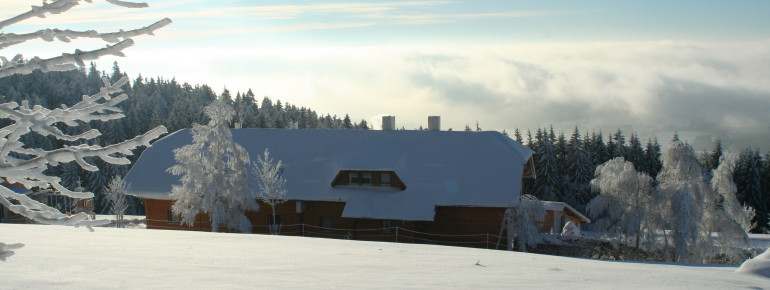 Winterlandschaft