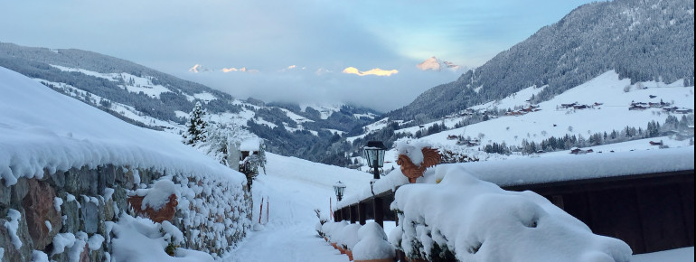 Früh morgens vor dem Bergwald