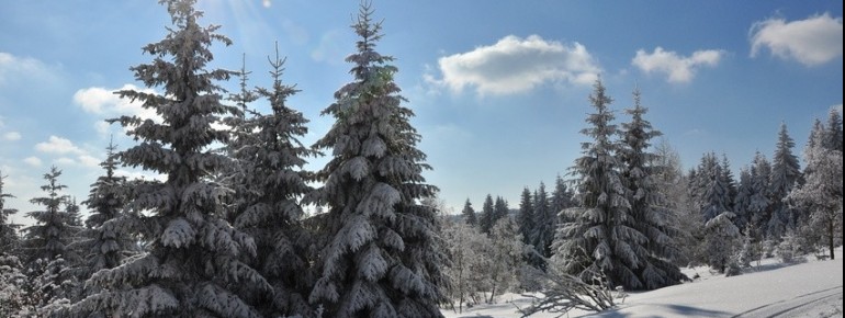 Winterzauber in Altenberg