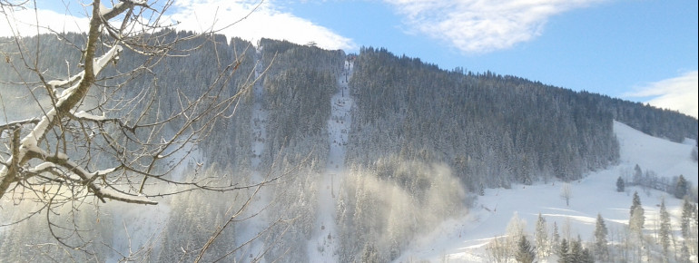 Aussicht zum Grafenberg