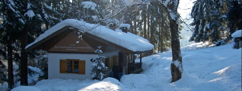 Chalet Waldwinkl