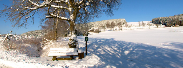 Winter in Züschen