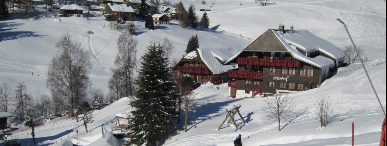 Der Erlenhof im Winter