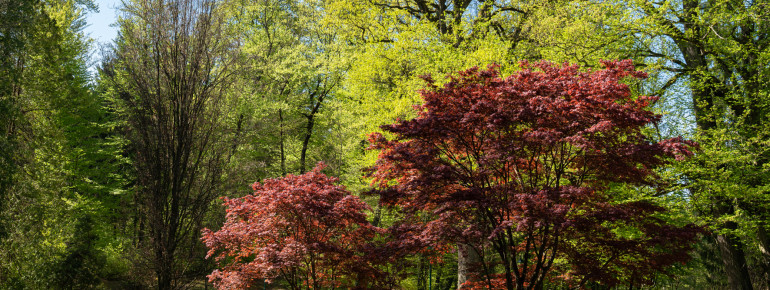 Kurpark Bad Gleichenberg