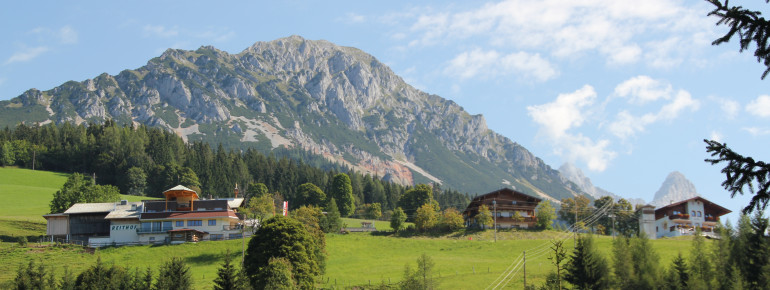 Der Reithof inmitten von Bergen Wiesen und Wald