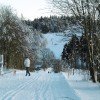 Genießen Sie die Winterlandschaft bei ausgedehnten Wanderungen auf dem Winterwanderwegen oder auch im gut gespurten Loipennetz