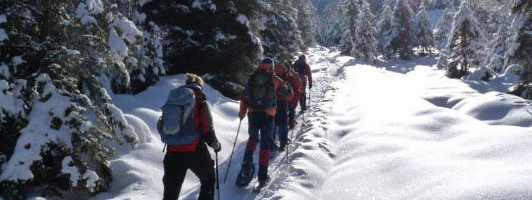 Schneeschuhwandern - ein besonderer Genuß!