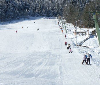 Zum hauseigenen Skilift Streidlhang sind es nur 700 m!