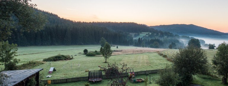 Hundewiese; Bärenhof