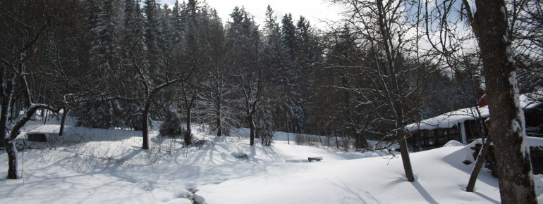 Ausblick Bärenhof, Urlaubsresort für Herr und Hund,