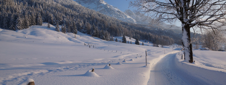 Winterlandschaft