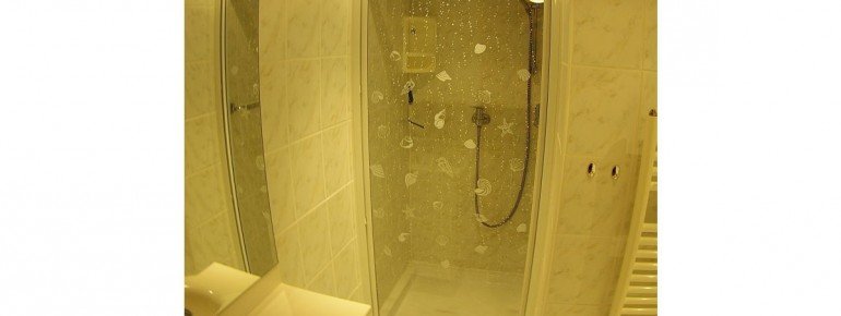 Das Bad in der Ferienwohnung ist mit einer Dusche ausgestattet