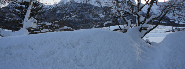 Ferienhaus Ronacher Bergblick