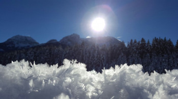 Wohnungsblick Schneekristalle